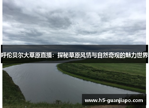 呼伦贝尔大草原直播：探秘草原风情与自然奇观的魅力世界